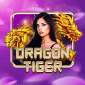 Dragon Tiger bingoplus apk live