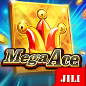 Mega Ace bingoplus apk
