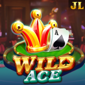 Wild Ace bingoplus apk
